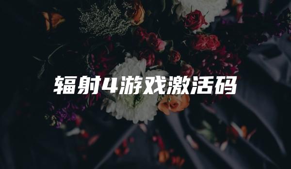 辐射4游戏激活码