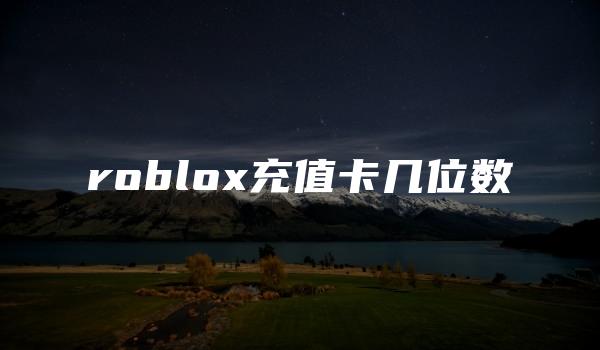 roblox充值卡几位数