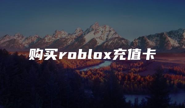 购买roblox充值卡