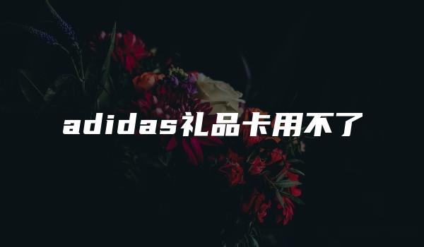 adidas礼品卡用不了