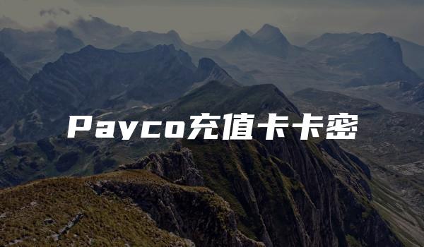 Payco充值卡卡密