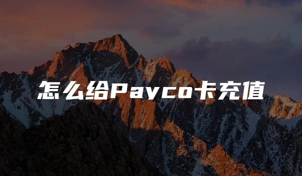 怎么给Payco卡充值