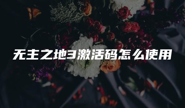 无主之地3激活码怎么使用