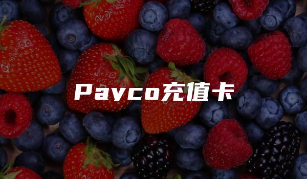 Payco充值卡