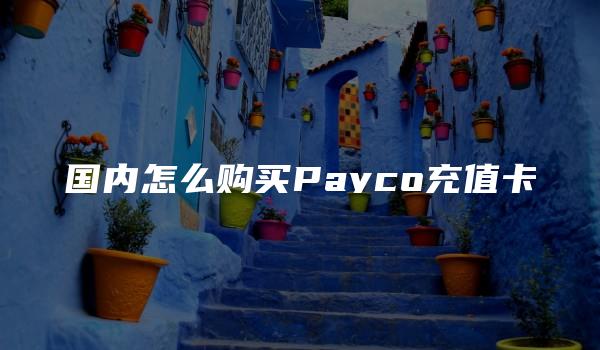 国内怎么购买Payco充值卡