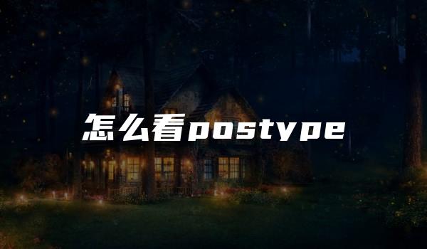 怎么看postype