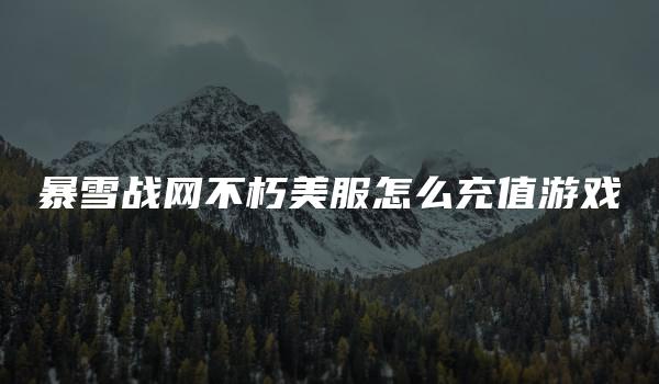 暴雪战网不朽美服怎么充值游戏