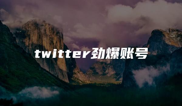 twitter劲爆账号