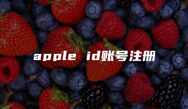 apple id账号注册