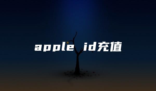 apple id充值