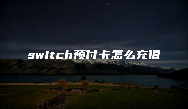 switch预付卡怎么充值