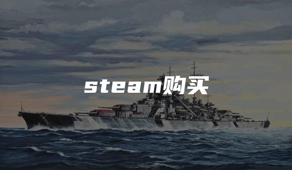 steam购买