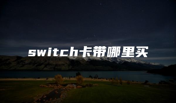 switch卡带哪里买