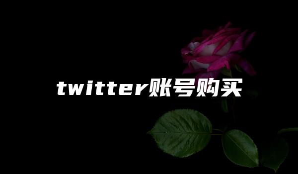 twitter账号购买