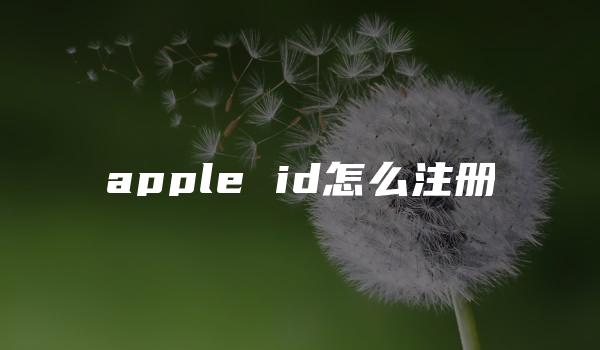 apple id怎么注册