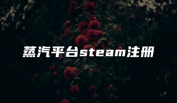 蒸汽平台steam注册