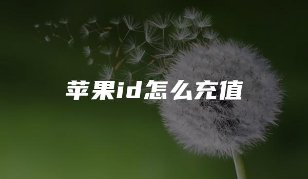 苹果id怎么充值