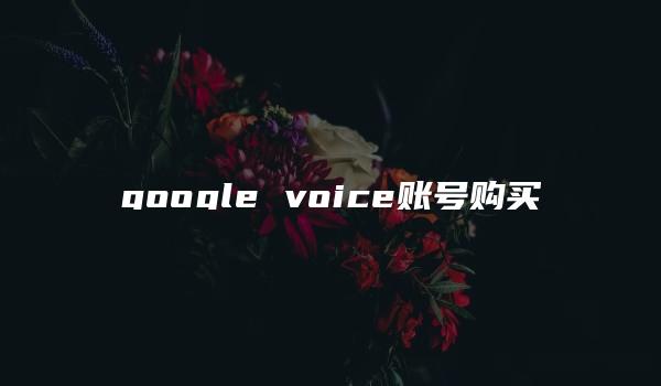 google voice账号购买