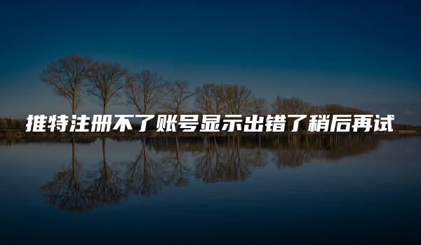 推特注册不了账号显示出错了稍后再试