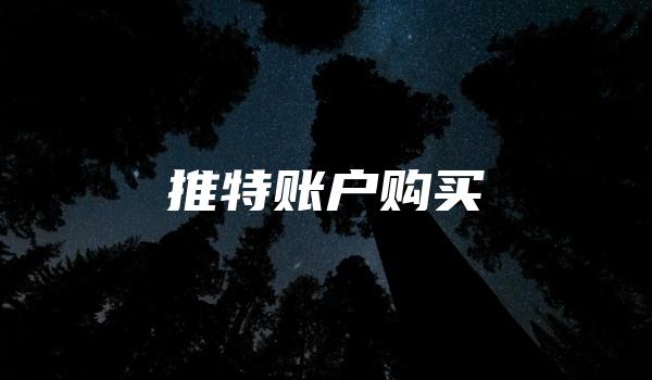 推特账户购买