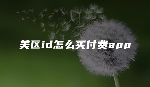 美区id怎么买付费app