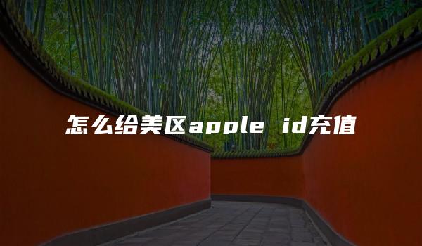 怎么给美区apple id充值