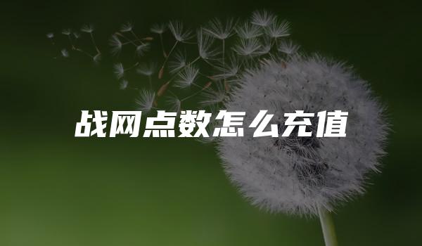 战网点数怎么充值