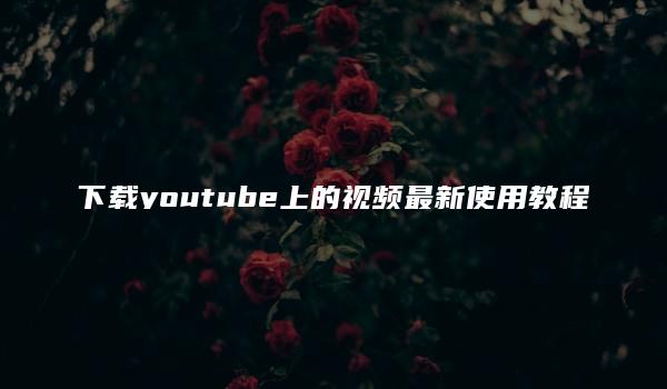 下载youtube上的视频最新使用教程