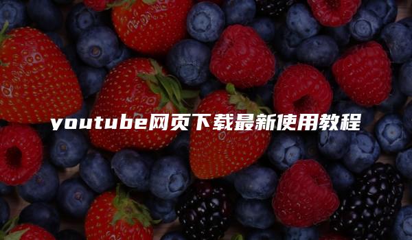 youtube网页下载最新使用教程