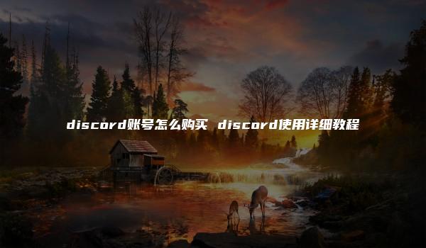 discord账号怎么购买 discord使用详细教程