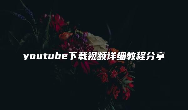 youtube下载视频详细教程分享