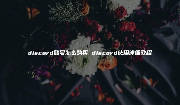 discord账号怎么购买 discord使用详细教程