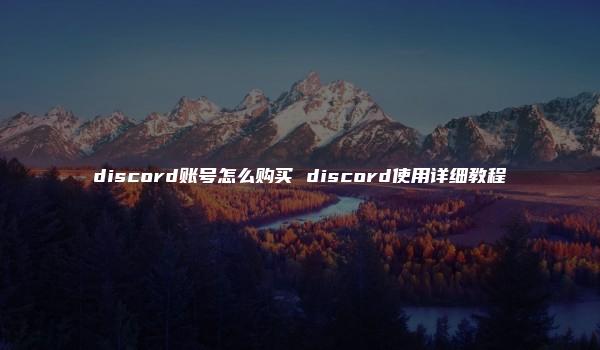 discord账号怎么购买 discord使用详细教程