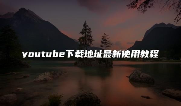 youtube下载地址最新使用教程