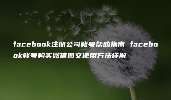 facebook注册公司账号帮助指南 facebook账号购买微信图文使用方法详解