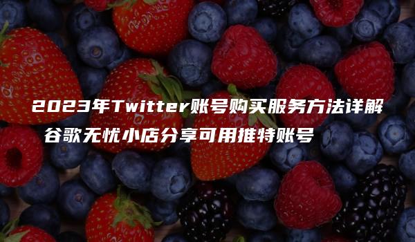 2023年Twitter账号购买服务方法详解 谷歌无忧小店分享可用推特账号