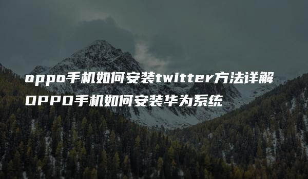 oppo手机如何安装twitter方法详解 OPPO手机如何安装华为系统