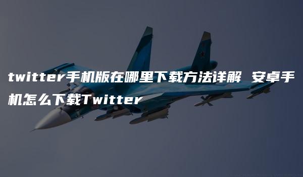 twitter手机版在哪里下载方法详解 安卓手机怎么下载Twitter