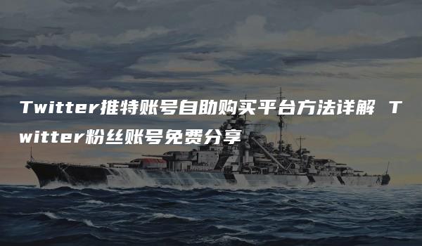 Twitter推特账号自助购买平台方法详解 Twitter粉丝账号免费分享