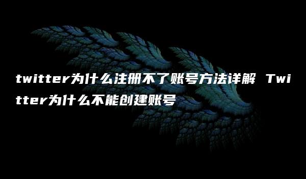 twitter为什么注册不了账号方法详解 Twitter为什么不能创建账号