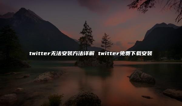 twitter无法安装方法详解 twitter免费下载安装