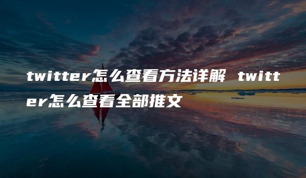 twitter怎么查看方法详解 twitter怎么查看全部推文