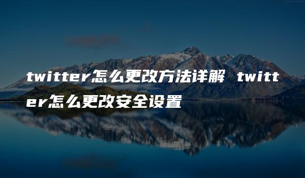 twitter怎么更改方法详解 twitter怎么更改安全设置