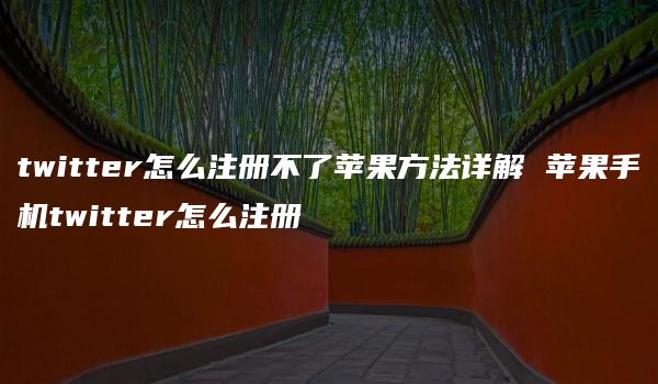 twitter怎么注册不了苹果方法详解 苹果手机twitter怎么注册