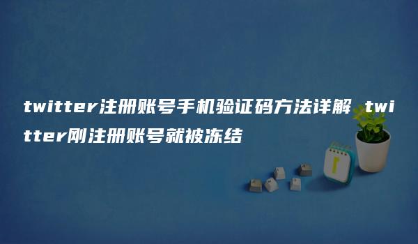 twitter注册账号手机验证码方法详解 twitter刚注册账号就被冻结