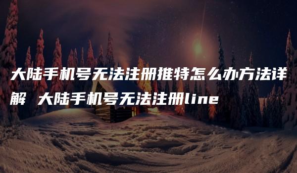 大陆手机号无法注册推特怎么办方法详解 大陆手机号无法注册line