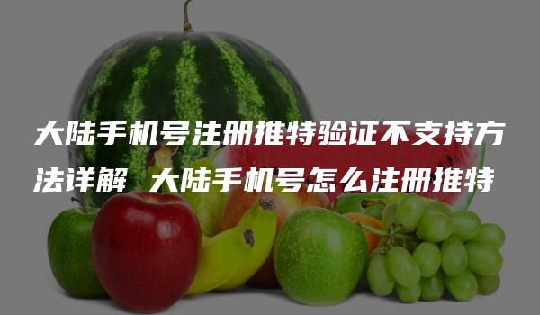 大陆手机号注册推特验证不支持方法详解 大陆手机号怎么注册推特