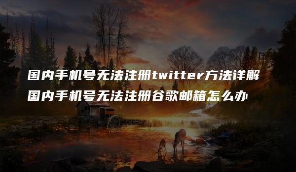 国内手机号无法注册twitter方法详解 国内手机号无法注册谷歌邮箱怎么办