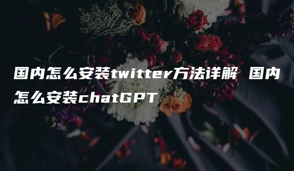 国内怎么安装twitter方法详解 国内怎么安装chatGPT