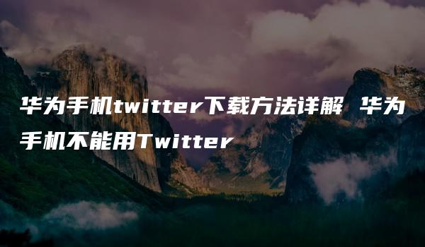 华为手机twitter下载方法详解 华为手机不能用Twitter